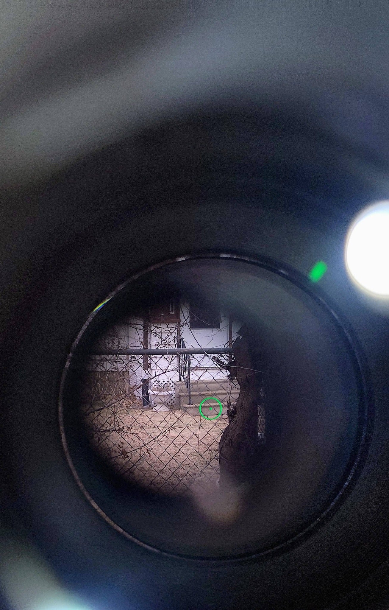 Ronin optics- sphere