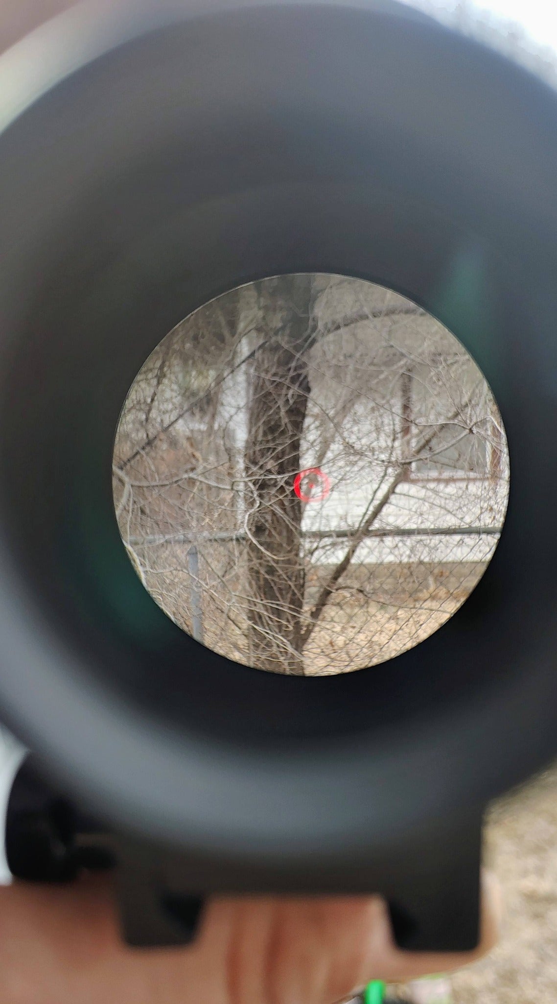 Ronin optics- T-eagle v20