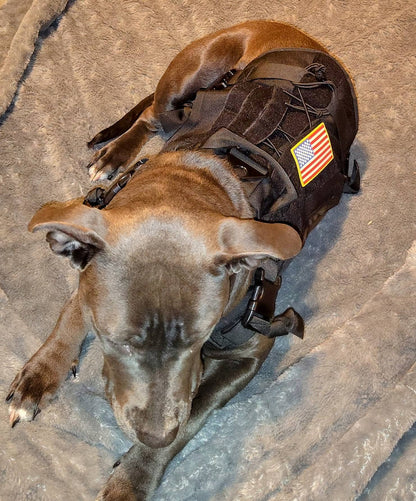 tactical dog harnesses/ k9 service dog